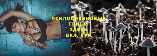 ECSTASY Армянск