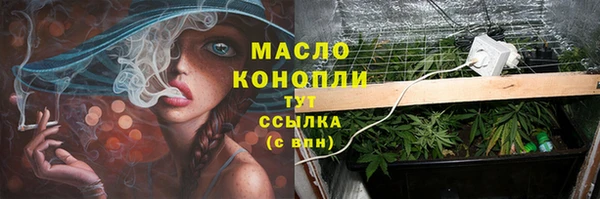 ECSTASY Армянск