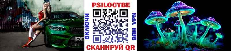 Псилоцибиновые грибы Psilocybine cubensis  закладки  KRAKEN   Балабаново 
