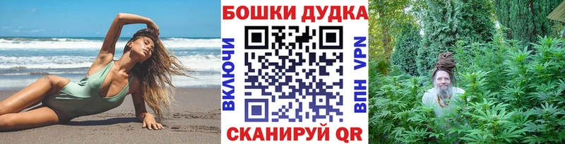 Конопля гибрид  Балабаново 
